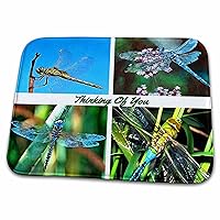 3dRose Thinking Of You Artistic Dragonfly Collage - Dish Drying Mats (ddm-350451-1)