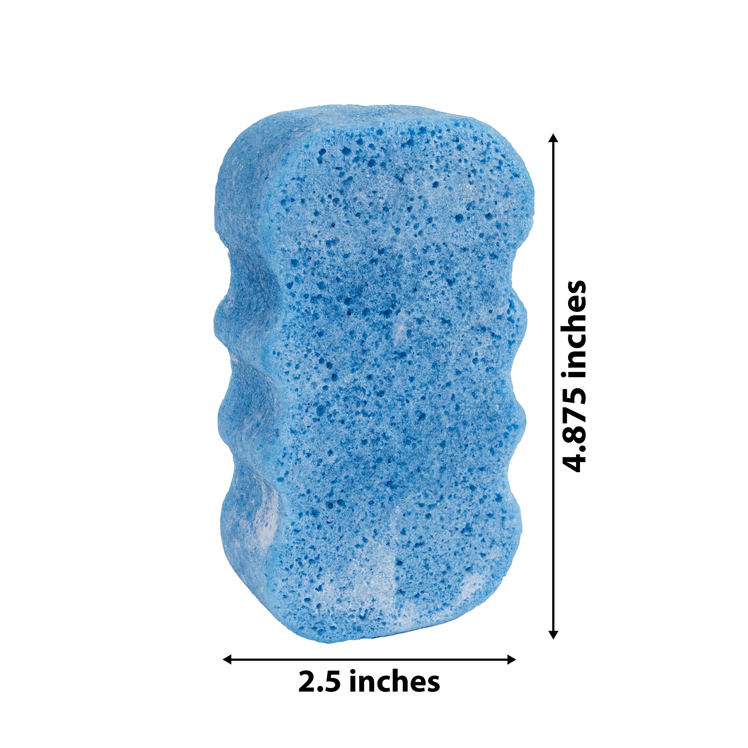 Spongeables Body Wash in a Sponge, Clean & Fresh Scent, Moisturizer for the Body, 3.5 Ounce, 20 + washes
