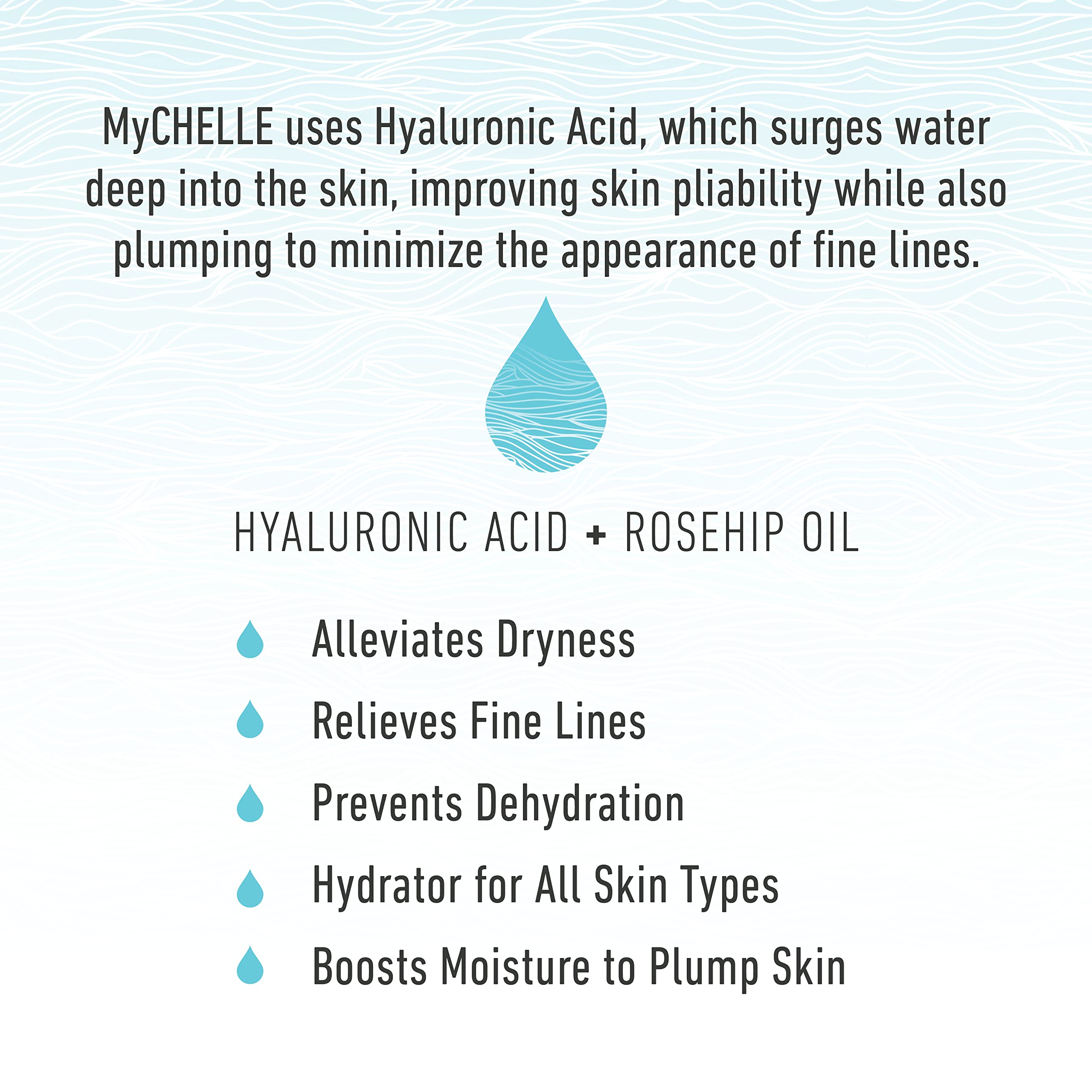 MyCHELLE Dermaceuticals Ultra Hyaluronic Hydrating Serum (1.0 Fl Oz) - Rich Hydration for Dry Skin with Vegan Hyaluronic Acid, Help Plump Skin and Help Reduce Appearance of Fine Lines and Wrinkles