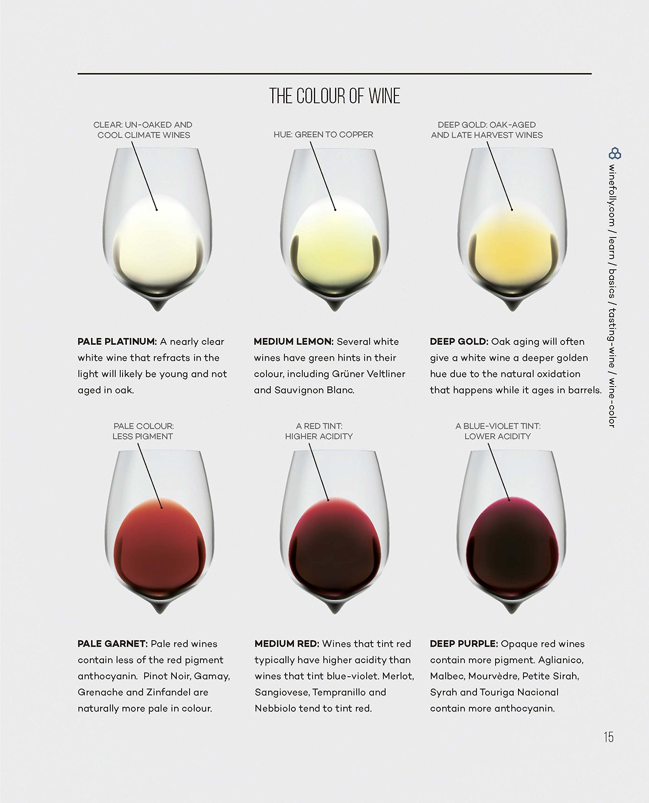 Wine by Design: Understanding the World of Wine