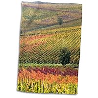 3D Rose Italy-Tuscany. Colorful Vineyards and Olive Trees in Autumn Hand Towel, 15