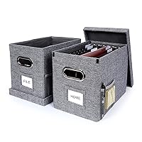 File Box Desktop File Organizer Box for Letter Folder Documents with Smooth Sliding Rail,Portable Collapsible Hanging Filing Box with Lid (Grey, Pack of 2)