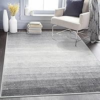 Lanffia Modern Ombre Grey Area Rug 5x7,Non-Slip Gray Living Room Rug,Machine Washable Soft Rugs for Bedroom,Non-Shedding Low Pile Throw Carpet for Dining Room Dorm Home Office