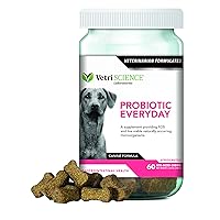 VetriScience Probiotic Everyday for Dogs, Digestive Health Supplement-60 Bite Sized Soft Chews