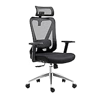 Techni Mobili, Black Truly Ergonomic Mesh Office Chair with Headrest & Lumbar Support