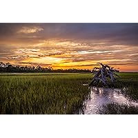 Coastal Photography Print (Not Framed) Picture of Salt Marsh at Sunset on Summer Evening on Pinckney Island in South Carolina Lowcountry Wall Art Nature Decor (4
