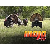 Mojo TV - Season 18