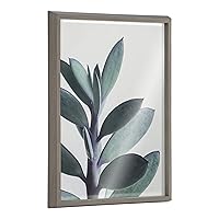 Blake Senecio 1 Framed Printed Glass Wall Art by Emiko and Mark Franzen of F2Images, 18x24 Gray, Decorative Botanical Art for Wall