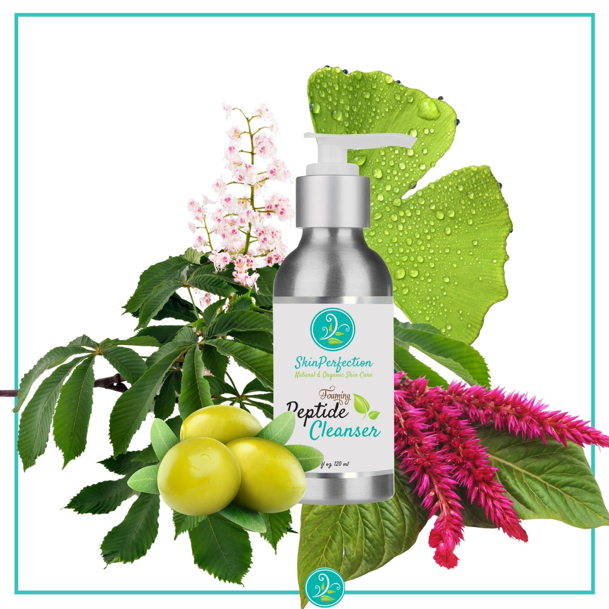 Skin Perfection Foaming Peptide Cleanser EWG VERIFIED™ Healthy Boost Amaranth Amino Acids Natural Botanicals