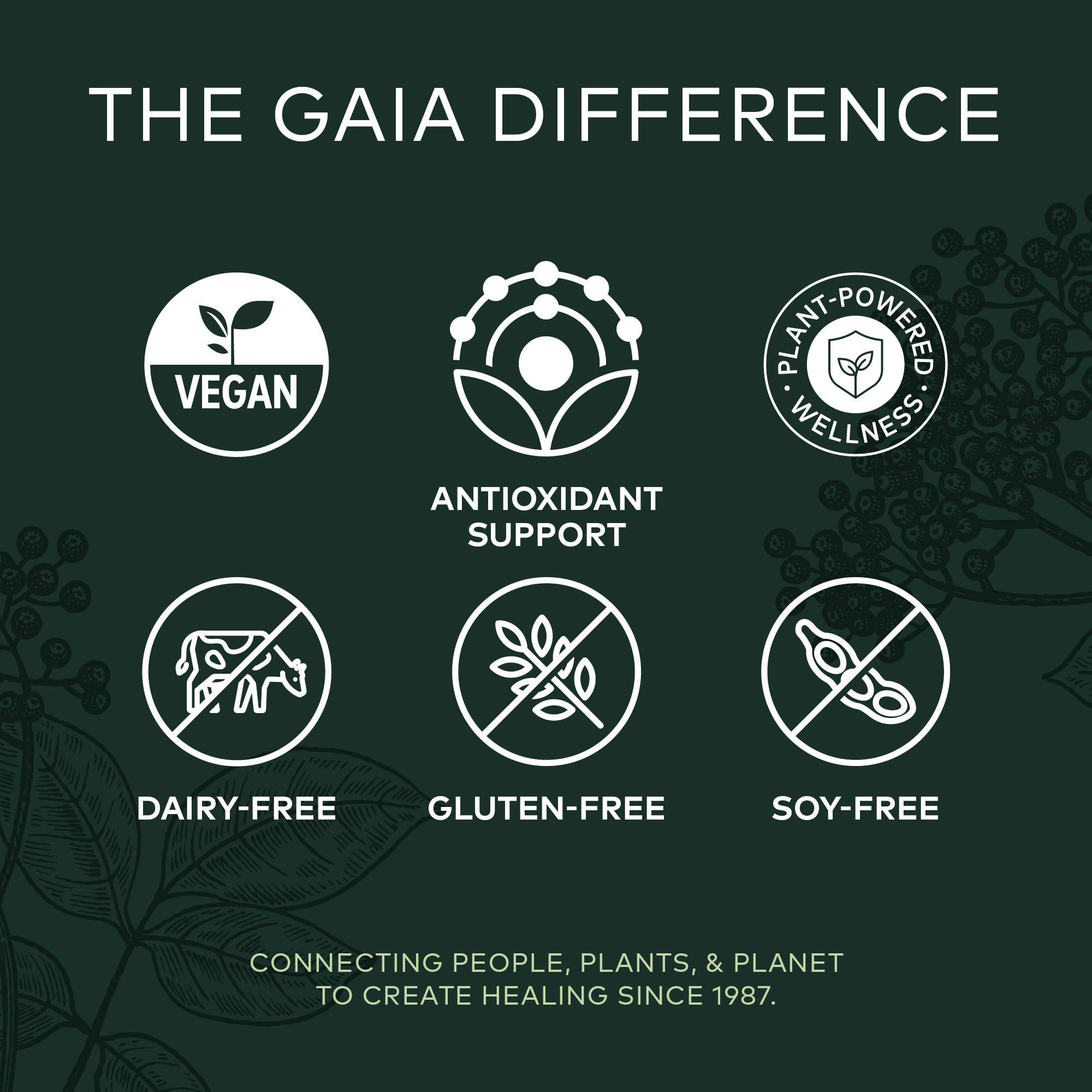 Gaia Herbs, Black Elderberry, Organic Sambucus Elderberry Extract for Daily Immune and Antioxidant Support, Vegan Powder Capsules, 60 Count