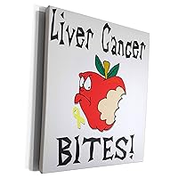 3dRose Funny Awareness Support Cause Liver Cancer Mean... - Museum Grade Canvas Wrap (cw_120555_1)