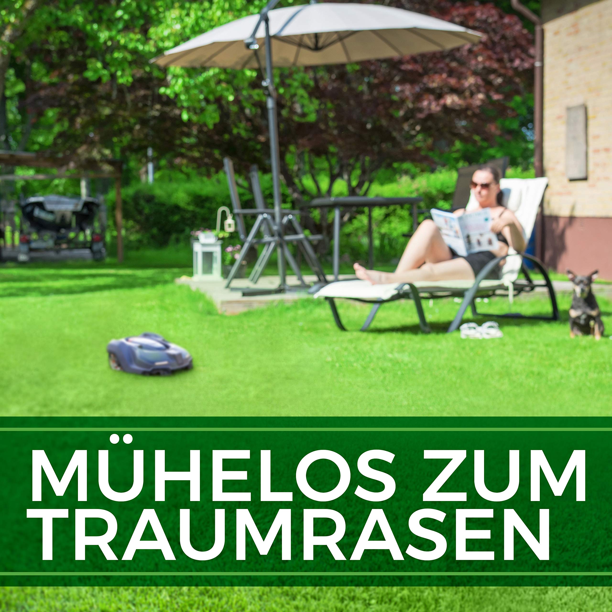 Rasensamen schnellkeimend 10kg - SEHR GUT getestet - Schnell wachsender Rasen Made in Germany - Premium Grassamen schnellkeimend - Rasensaat für sattgrünen, unkrautfreien Traumrasen