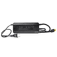 Generac 8031 Charge Enhancer 200W Charger, Black
