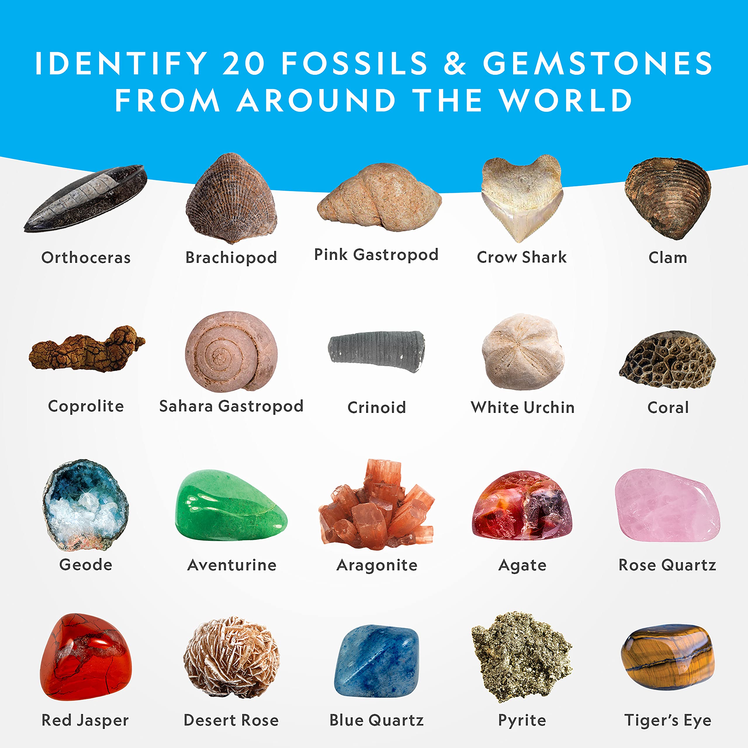 NATIONAL GEOGRAPHIC Mega Fossil and Gemstone Dig Kit - Excavate 20 Real Fossils and Gems, Science Kit for Kids, Rock Digging Excavation Kit, Geology Gifts for Boys and Girls (Amazon Exclusive)