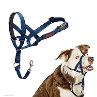 HALTI Headcollar - to Stop Your Dog Pulling on The Leash. Adjustable, Reflective and Lightweight, with Padded Nose Band. Dog Training Anti-Pull Collar for Medium Dogs (Size 2, Cobalt Blue)