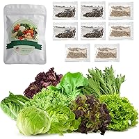 3200+ Non-GMO Lettuce Seeds - 8 Individual Heirloom Salad Vegetable- Romaine Lettuce,Red&Green Leaf Lettuce, Buttercrunch Lettuce Escarole Batavia Lettuce Frisee Loose Leaf Iceburg
