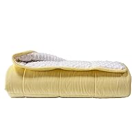 Reversible Weighted Blanket for All Season, Luxury Velvet, Warm and Cool, Adult Kids 20Lb Weighted Blanket, Enjoy Sleeping Anywhere(Yellow, 60''x80''20lbs)