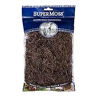SuperMoss Spanish Preserved Swirly Moss, Coffee