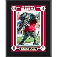Alabama Crimson Tide Big Al Mascot Sublimated 10.5