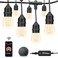 Outdoor String Lights, Warm White Patio Lights Smart String Lights, Compatible with Alexa/Google Assistant, App Control, 2.4 GHz Only, IP65 Waterproof, Meet to U.S. Standards