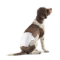 Amazon Basics Male Dog Wrap, Disposable Diapers, Large - Pack of 30, White