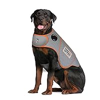 Thundershirt dogs clothing Thundershirt Dog Anxiety Jacket, Platinum, XXL US