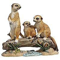 Design Toscano QL57089 Meerkat Clan Garden Animal Statue, 15 Inch, Full Color