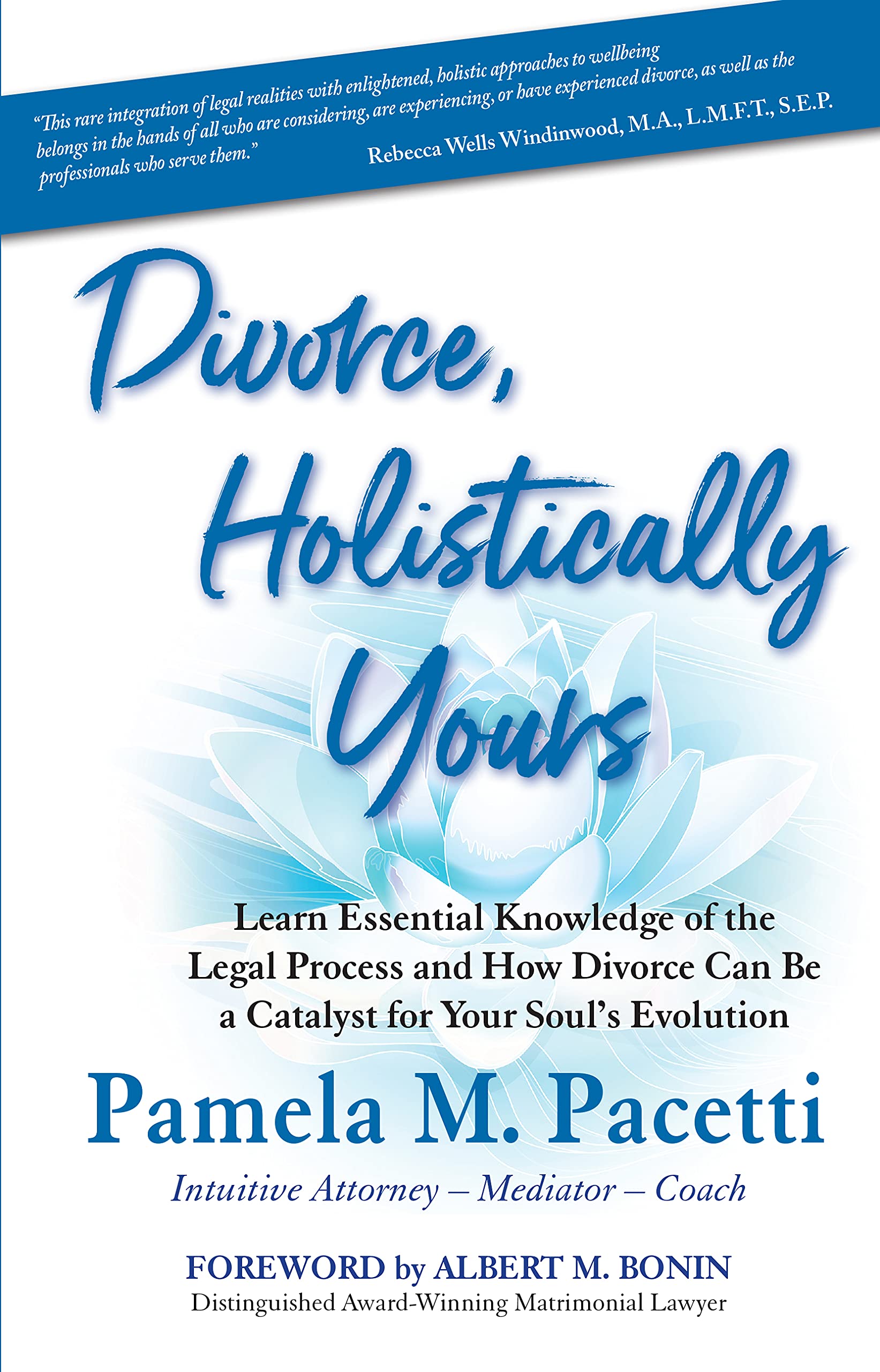 Divorce, Holistically Yours: Learn Essential Knowledge of the Legal Process and How Divorce Can Be a Catalyst for Your Soul's Evolution