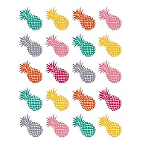 Teacher Created Resources 2158 Tropical Punch Pineapples Stickers