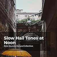 Slow Hail Tones at Noon Slow Hail Tones at Noon MP3 Music