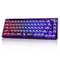 CC MALL 60% Portable Transparent Gasket Hot Swappble Mechanical Gaming Keyboard,RGB Backlit Compact 68 Clear Keycaps,Include 2.4Ghz/Bluetooth/USB-C Connections,Ice Crystal Switch(Purple)