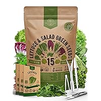 Organo Republic 15 Lettuce & Salad Greens Seeds Variety Pack 17700+ Non-GMO Heirloom Lettuce Seeds for Indoors & Outdoors Garden, Hydroponics, Aerogarden - Arugula, Kale, Spinach, Swiss Chard, Lettuce