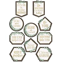 Teacher Created Resources Eucalyptus Positive Sayings Accents (TCR8464)