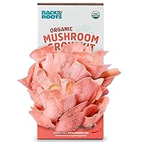 Organic Pink Mushroom Grow Kit, Harvest Gourmet Mushrooms In 10 Days