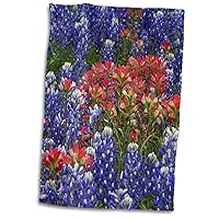 Danita Delimont - Flowers - Texas Hill Country Wildflowers. Bluebonnets and Indian Paintbrush - Towels (twl-332112-1)
