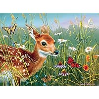 Buffalo Games - Hautman Brothers - Springtime Folly - 1000 Piece Jigsaw Puzzle for Adults Challenging Puzzle Perfect for Game Nights - 1000 Piece Finished Size is 26.75 x 19.75