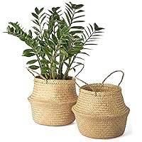 Artera Woven Seagrass Plant Basket - Pack of 2, Wicker Belly Basket Planter Indoor with Plastic Liner and Handles, Natural Plant Pot for Fiddle Leaf Fig Tree, Snake Plant and Monstera. (M)