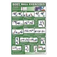 Laminated Fitness Ball Poster - Upper & Lower Body Exercises - Created by University Accredited Fitness Experts - Stability Ball Exercises for Legs ... - Tone and Tighten Arms Chest and Back Laminated Fitness Ball Poster - Upper & Lower Body Exercises - Created by University Accredited Fitness Experts - Stability Ball Exercises for Legs ... - Tone and Tighten Arms Chest and Back Poster