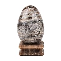 AMOYSTONE Natural Gemstone Egg with Base Raw Morocco Jasper Mineral Healing Crystal Large 4-4.3