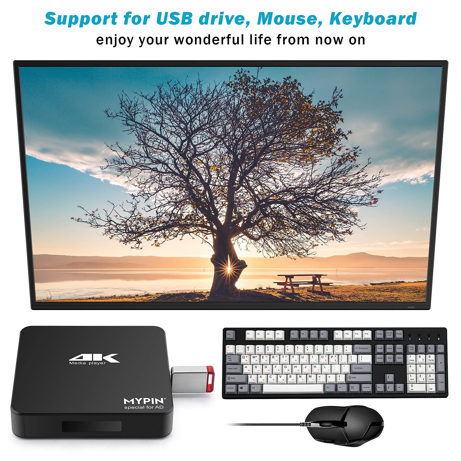 4K@60hz MP4 Media Player with ONE AV Cable Support 8TB HDD/ 256G USB Drive/SD Card with HDMI/AV Out for HDTV/PPT MKV AVI MP4 H.265-Support Advertising Subtitles/Timing, Networkable, Mouse&Keyboard