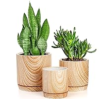 Dicunoy Set of 3 Ceramic Planters for Indoor Plants, 6