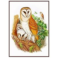 Mama Baby Owls by Naturalist John Gould Counted Cross Stitch Pattern