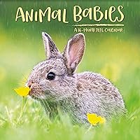 2024 Animal Babies Wall Calendar