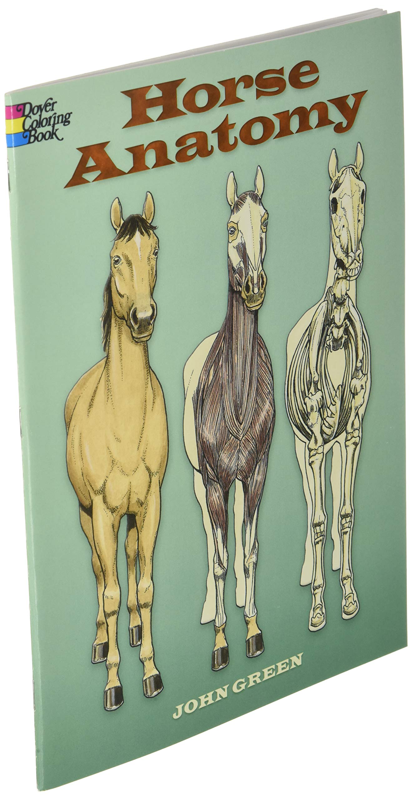Horse Anatomy Coloring Book (Dover Science For Kids Coloring Books)