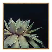 Kate and Laurel Sylvie Succulent 8 Framed Canvas Wall Art by F2 Images, 30x30 Natural