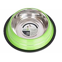 Iconic Pet Color Splash Stripe Non-Skid Pet Bowl, 32-Ounce, Green