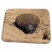 Zimbabwe. Dung Beetle insect rolling dung ball-AF52 MWT0007... - Dish Drying Mats (ddm-72703-1)