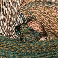 Schoppel Wolle - Zauberball Crazy Knitting Yarn - Teal/Olive/ Beige/Brown (# 22