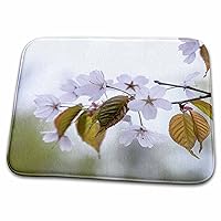 3dRose Twig with Sakura Flowers, Green and White Background - Bathroom Bath Rug Mats (rug-272534-1)