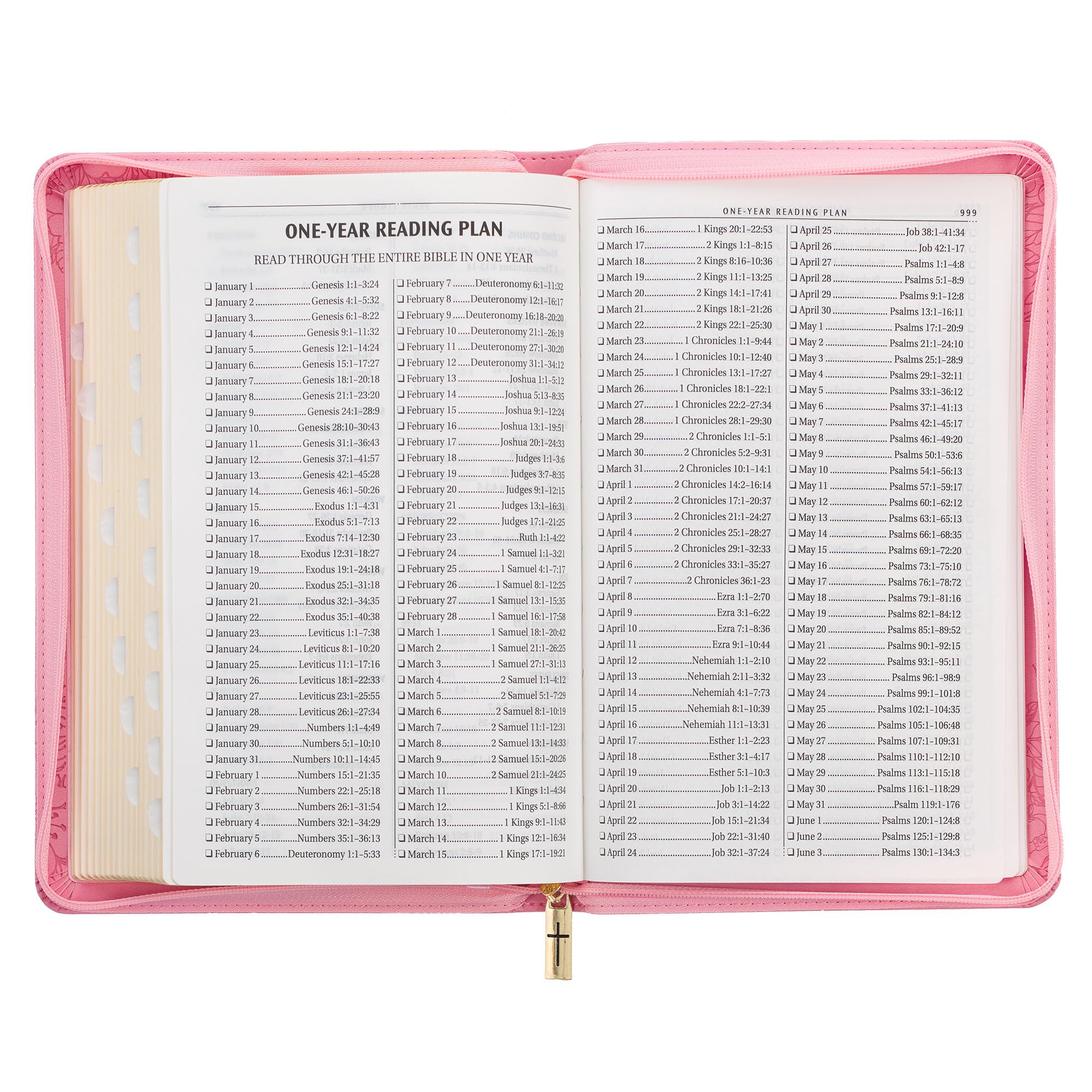 KJV Holy Bible, Standard Size Faux Leather Red Letter Edition Thumb Index, Ribbon Marker, King James Version, Pink Floral Zipper Closure